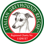 Italian-Greyhound-Rescue